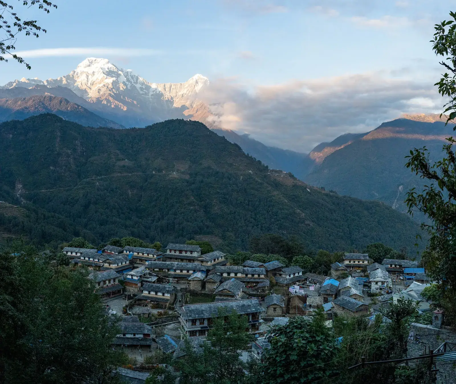 Traditional houses in Ghandruk