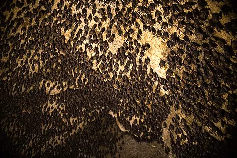 Mahendra Cave